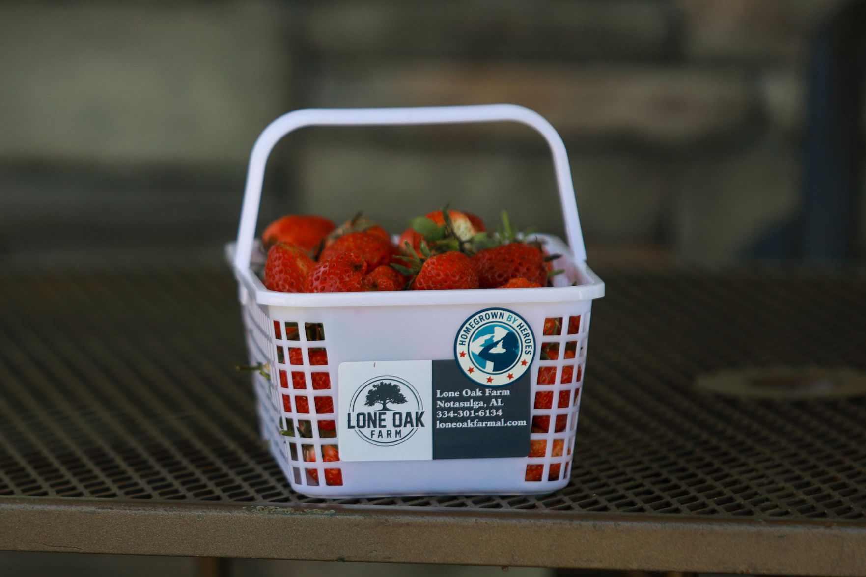Lone Oak Farm